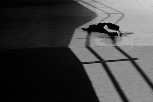 Chiara Mazzocchi